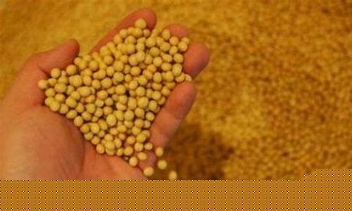 美国豆粕期货国内豆粕(期货美豆粕和国内豆粕关联性)_https://www.fzdzcxj.com_创业板_第1张