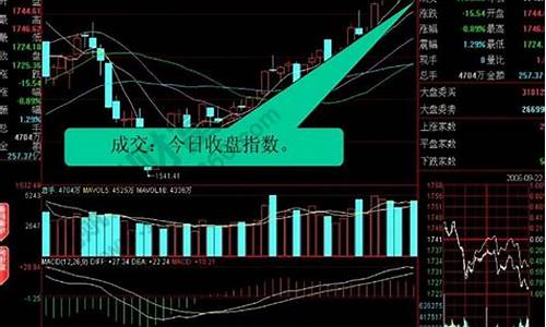 大盘什么意思怎么看(大盘是什么意思啊)_https://www.fzdzcxj.com_上交所_第1张