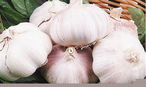 大蒜是期货(大蒜是期货产品吗)_https://www.fzdzcxj.com_上交所_第1张