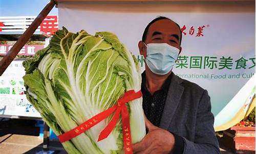国内白菜期货行情(白菜行情分析)_https://www.fzdzcxj.com_北交所_第1张