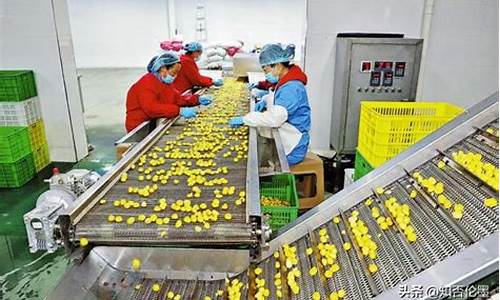 农村办厂暴利项目(开一个酒厂要多少钱呀)_https://www.fzdzcxj.com_北交所_第1张