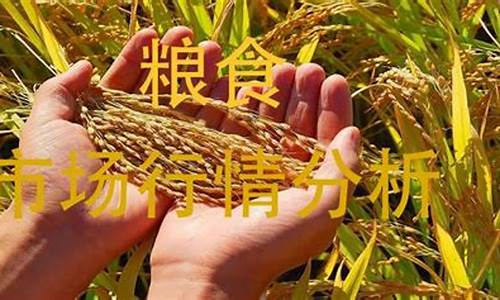 期货粮食类行情分析(期货粮食类行情分析最新)_https://www.fzdzcxj.com_上交所_第1张