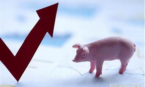 今年猪肉股票涨了有多少(今年猪肉股票涨了有多少钱)_https://www.fzdzcxj.com_深交所_第1张