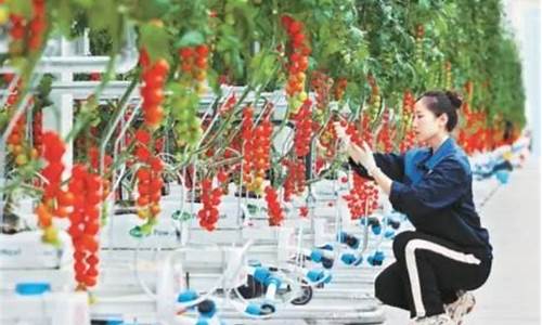 湖北道指期货直播番茄财经(道指期货直播室)_https://www.fzdzcxj.com_科创板_第1张