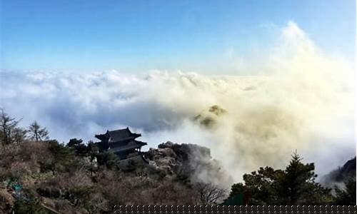 泰山之巅国际期货直播间(泰山之巅期货直播室)_https://www.fzdzcxj.com_上交所_第1张
