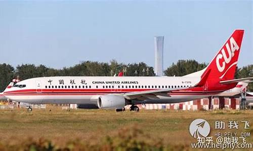中国十大廉价航空公司 吉祥(中国国内航空有哪些廉价公司)_https://www.fzdzcxj.com_创业板_第1张