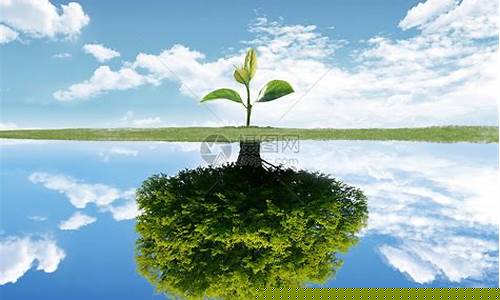 创意信息有什么潜力(创意信息有什么潜力和优势)_北交所_第1张_财经网 创意信息有什么潜力(创意信息有什么潜力和优势)_https://www.fzdzcxj.com_北交所_第1张