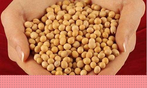 期货大豆最新直播(大豆期货价格)_https://www.fzdzcxj.com_深交所_第1张