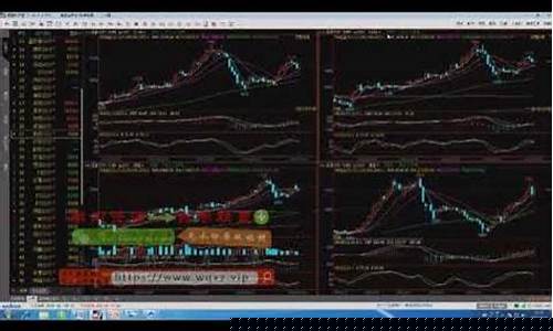 期货直播小雨(期货直播视频)_https://www.fzdzcxj.com_上交所_第1张