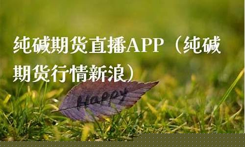 2020纯碱期货直播间(纯碱的期货实时行情)_https://www.fzdzcxj.com_创业板_第1张