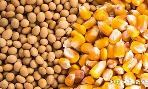 大豆期货在线直播(大豆期货app)_https://www.fzdzcxj.com_深交所_第1张