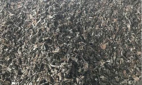 废钢破碎料期货在线直播(废钢破碎料有多少利润)_https://www.fzdzcxj.com_上交所_第1张