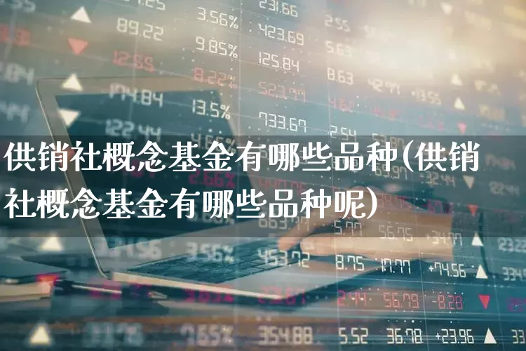 供销社概念基金有哪些品种(供销社概念基金有哪些品种呢)_https://www.fzdzcxj.com_上交所_第1张