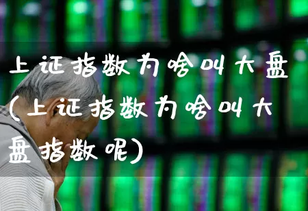 上证指数为啥叫大盘(上证指数为啥叫大盘指数呢)_https://www.fzdzcxj.com_科创板_第1张