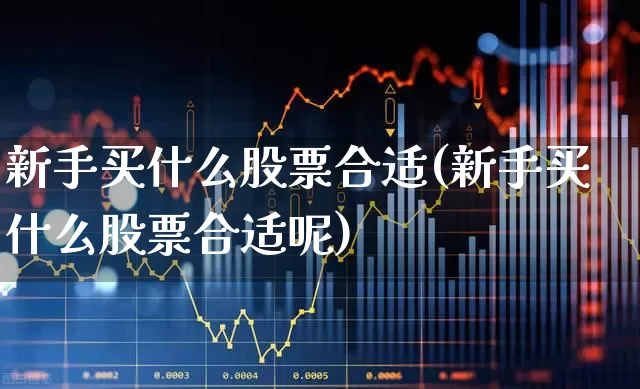 新手买什么股票合适(新手买什么股票合适呢)_https://www.fzdzcxj.com_上交所_第1张