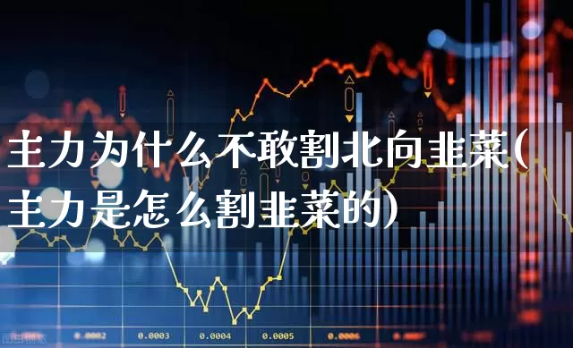 主力为什么不敢割北向韭菜(主力是怎么割韭菜的)_https://www.fzdzcxj.com_北交所_第1张