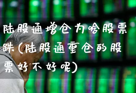 陆股通增仓为啥股票跌(陆股通重仓的股票好不好呢)_https://www.fzdzcxj.com_上交所_第1张