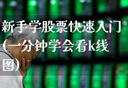 新手学股票快速入门(一分钟学会看k线图)_https://www.fzdzcxj.com_深交所_第1张