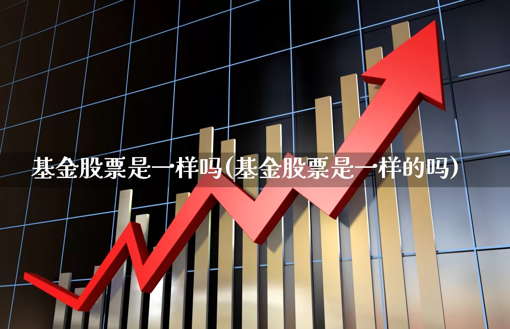 基金股票是一样吗(基金股票是一样的吗)_https://www.fzdzcxj.com_创业板_第1张