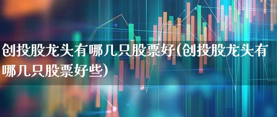 创投股龙头有哪几只股票好(创投股龙头有哪几只股票好些)_https://www.fzdzcxj.com_上交所_第1张