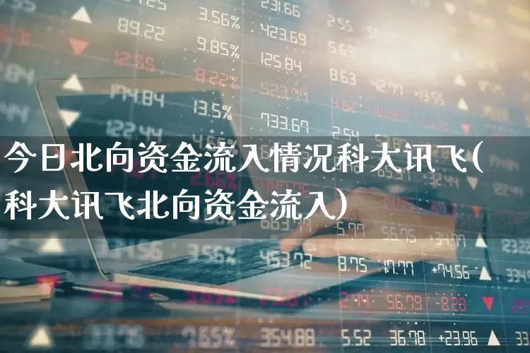 今日北向资金流入情况科大讯飞(科大讯飞北向资金流入)_https://www.fzdzcxj.com_上交所_第1张