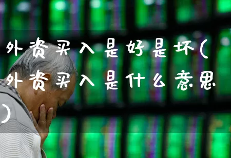 外资买入是好是坏(外资买入是什么意思)_https://www.fzdzcxj.com_科创板_第1张