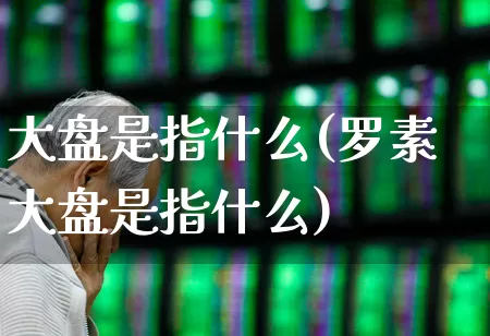 大盘是指什么(罗素大盘是指什么)_https://www.fzdzcxj.com_创业板_第1张