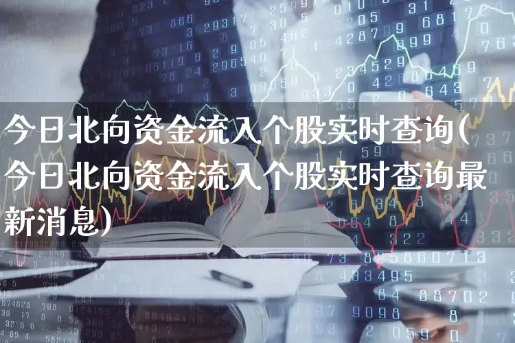 今日北向资金流入个股实时查询(今日北向资金流入个股实时查询最新消息)_https://www.fzdzcxj.com_上交所_第1张