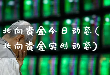 北向资金今日动态(北向资金实时动态)_https://www.fzdzcxj.com_上交所_第1张