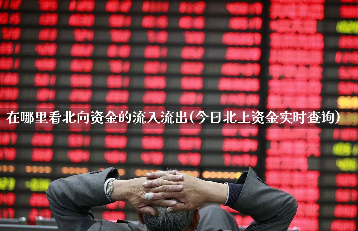 在哪里看北向资金的流入流出(今日北上资金实时查询)_https://www.fzdzcxj.com_科创板_第1张