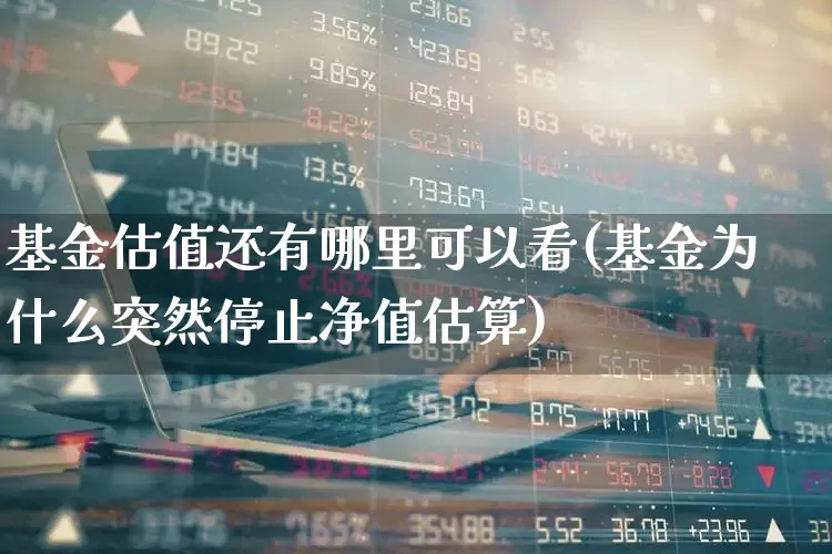基金估值还有哪里可以看(基金为什么突然停止净值估算)_https://www.fzdzcxj.com_上交所_第1张