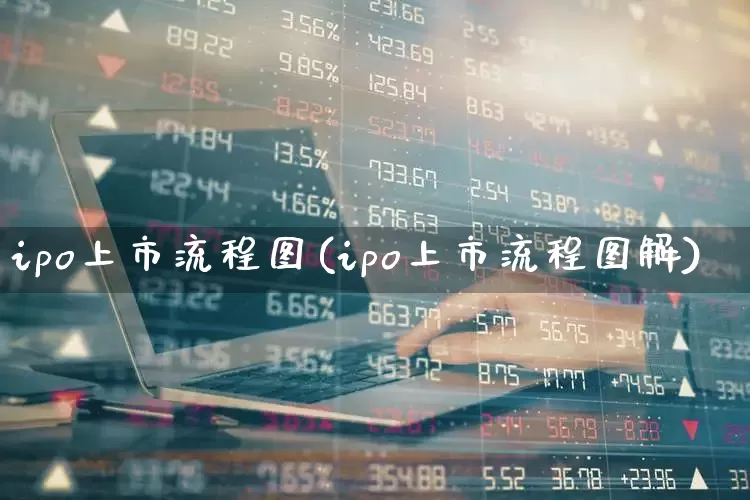 ipo上市流程图(ipo上市流程图解)_https://www.fzdzcxj.com_上交所_第1张