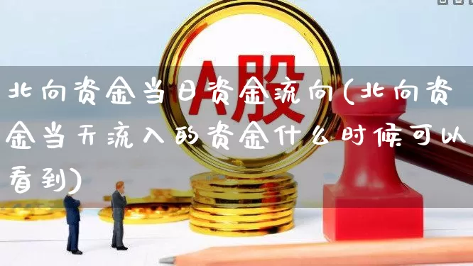 北向资金当日资金流向(北向资金当天流入的资金什么时候可以看到)_https://www.fzdzcxj.com_科创板_第1张