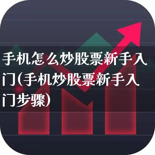 手机怎么炒股票新手入门(手机炒股票新手入门步骤)_https://www.fzdzcxj.com_创业板_第1张