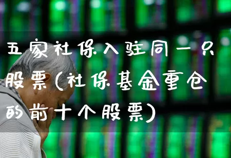 五家社保入驻同一只股票(社保基金重仓的前十个股票)_https://www.fzdzcxj.com_深交所_第1张