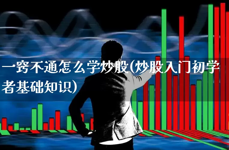 一窍不通怎么学炒股(炒股入门初学者基础知识)_https://www.fzdzcxj.com_上交所_第1张