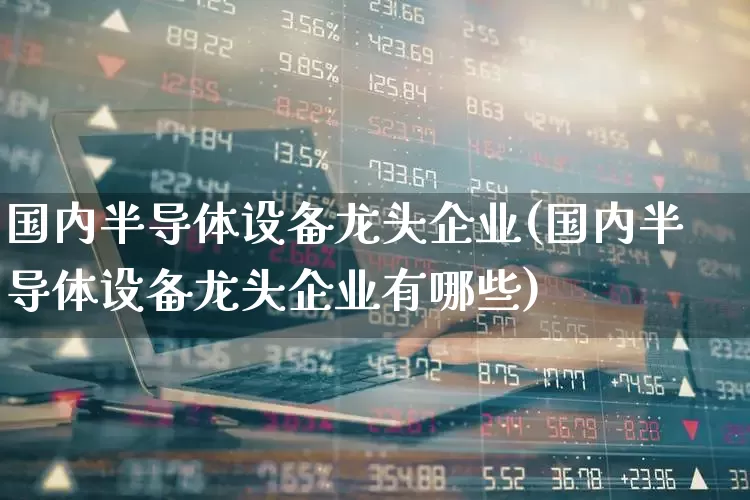 国内半导体设备龙头企业(国内半导体设备龙头企业有哪些)_https://www.fzdzcxj.com_科创板_第1张