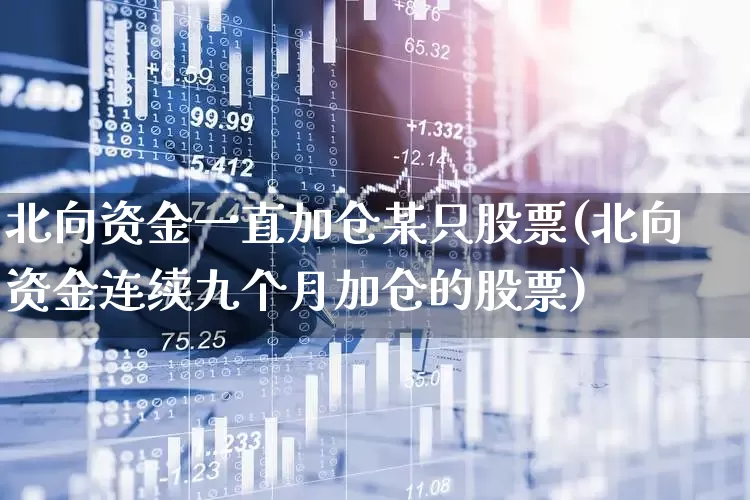 北向资金一直加仓某只股票(北向资金连续九个月加仓的股票)_https://www.fzdzcxj.com_创业板_第1张