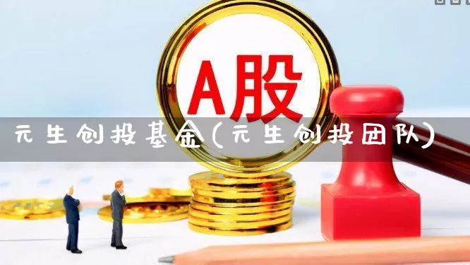 元生创投基金(元生创投团队)_https://www.fzdzcxj.com_北交所_第1张