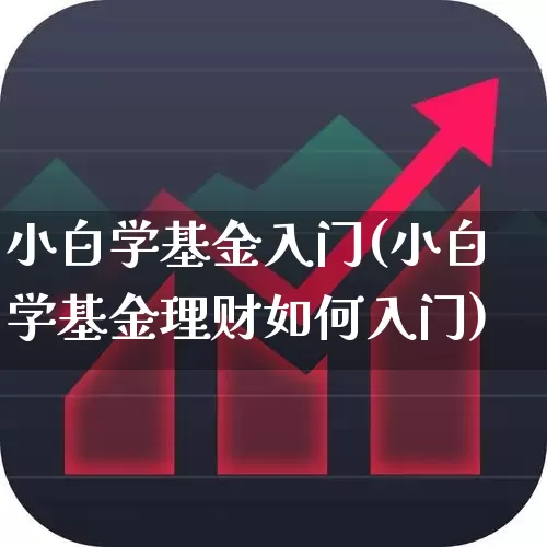 小白学基金入门(小白学基金理财如何入门)_https://www.fzdzcxj.com_科创板_第1张