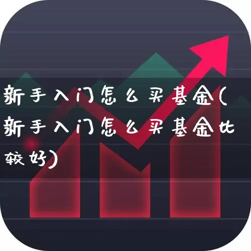 新手入门怎么买基金(新手入门怎么买基金比较好)_https://www.fzdzcxj.com_上交所_第1张