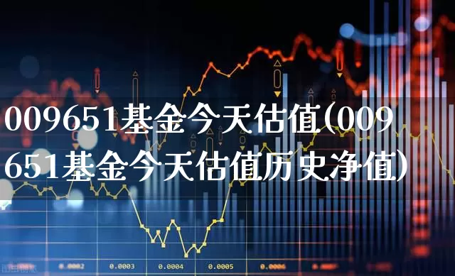 009651基金今天估值(009651基金今天估值历史净值)_https://www.fzdzcxj.com_北交所_第1张