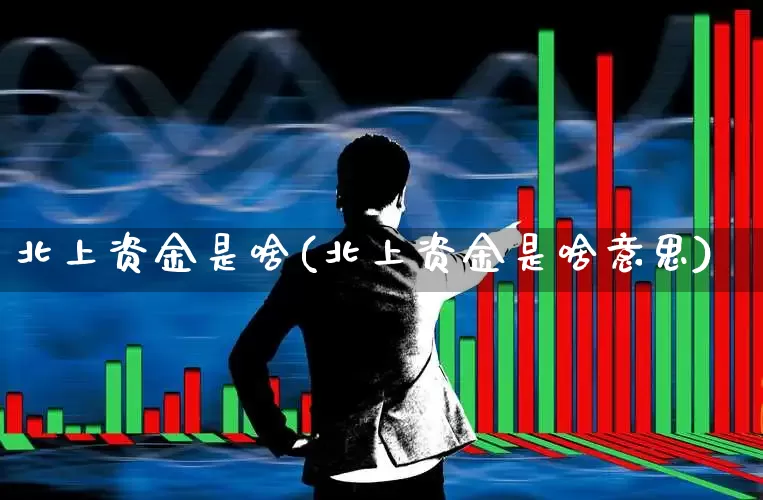 北上资金是啥(北上资金是啥意思)_https://www.fzdzcxj.com_科创板_第1张