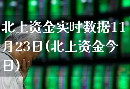 北上资金实时数据11月23日(北上资金今日)_https://www.fzdzcxj.com_创业板_第1张