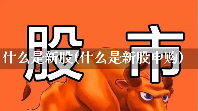 什么是新股(什么是新股申购)_https://www.fzdzcxj.com_北交所_第1张