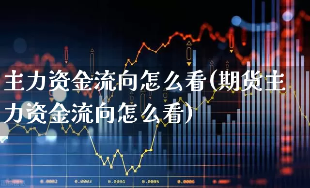 主力资金流向怎么看(期货主力资金流向怎么看)_https://www.fzdzcxj.com_深交所_第1张