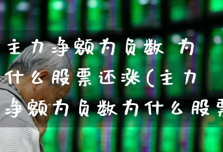 主力净额为负数 为什么股票还涨(主力净额为负数为什么股票还涨停)_https://www.fzdzcxj.com_上交所_第1张