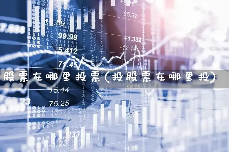 股票在哪里投票(投股票在哪里投)_https://www.fzdzcxj.com_科创板_第1张