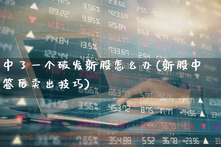 中了一个破发新股怎么办(新股中签后卖出技巧)_https://www.fzdzcxj.com_上交所_第1张