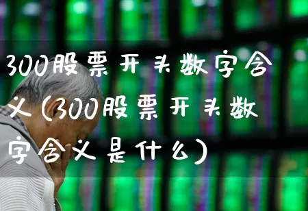 300股票开头数字含义(300股票开头数字含义是什么)_https://www.fzdzcxj.com_科创板_第1张